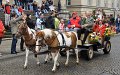 Schuetzen2011   475